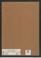 Coscinodiscus oculus-iridis Ehr. (de-Toni-Nr.: Genus 202, Species 5054) Zeichnungen Sammlung Grunow Mappe 04851 (Herbarium_W_Grunow_drawings_Folder_04851)